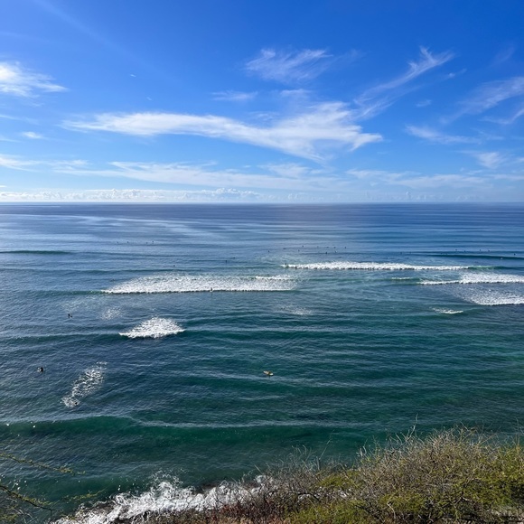 Meet your Posher, Gabriel - Picture 1 of 1